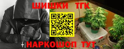 гидра Гатчина