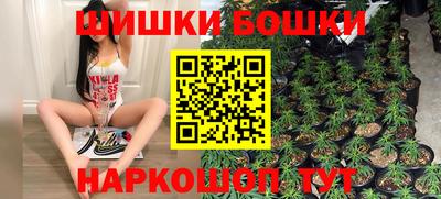 гидра Гатчина