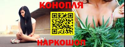 гидра Гатчина