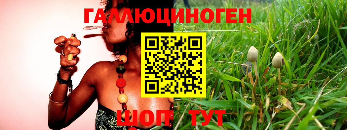 Псилоцибиновые грибы Cubensis Мариинск
