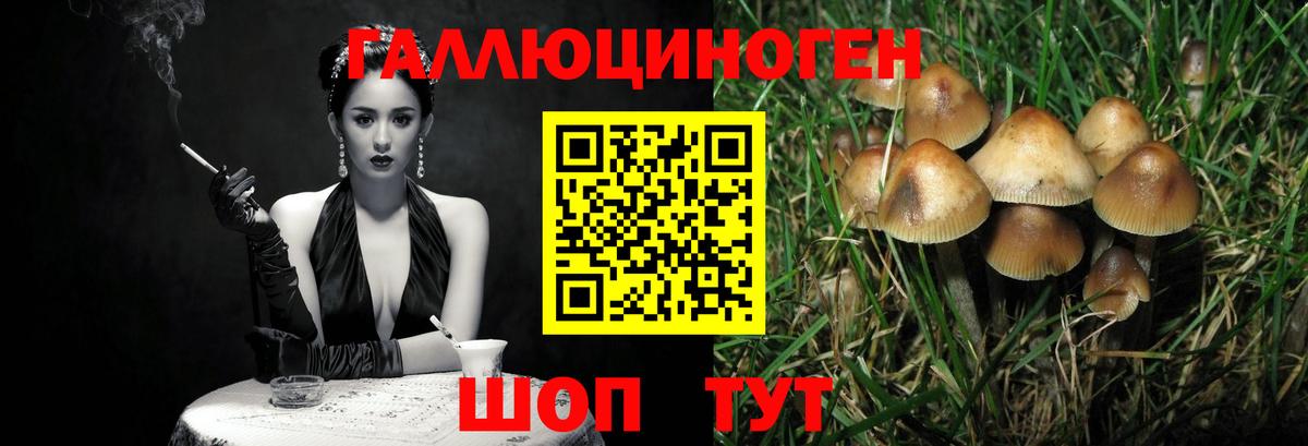 где можно купить   Псилоцибиновые грибы Cubensis  Вход с VPN  Мариинск 
